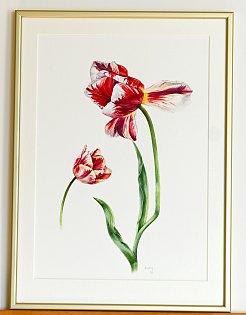 e-shop 031