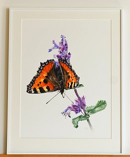 e-shop 057