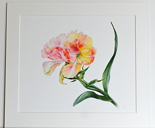 e-shop 067