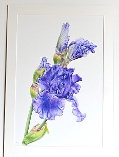 e-shop 098