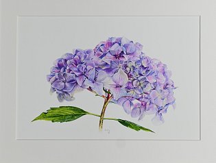 e-shop 013