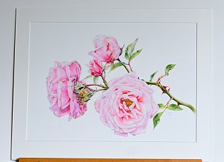 e-shop 075